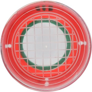 Rovarmegfigyel� poh�r, vil�gosz�ld